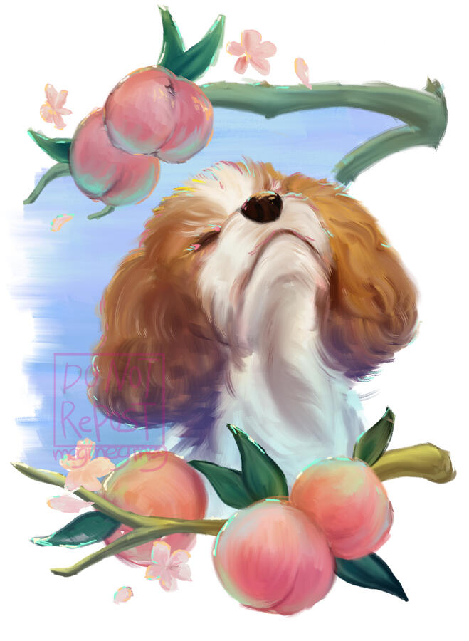 Pet portrait