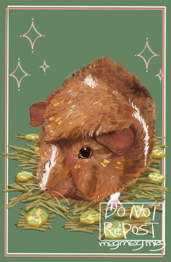 Pet portrait